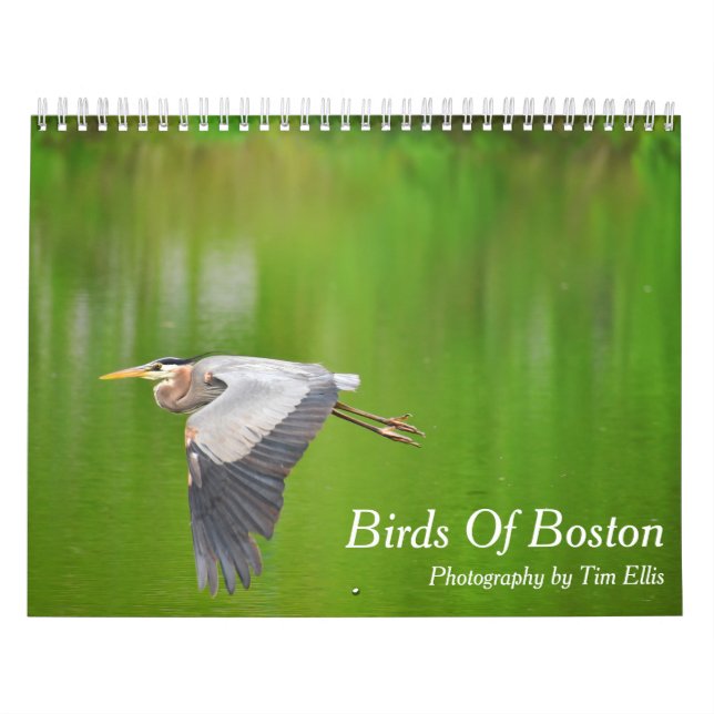 Kalender (Titelbild)