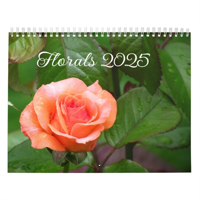 Kalender (Titelbild)