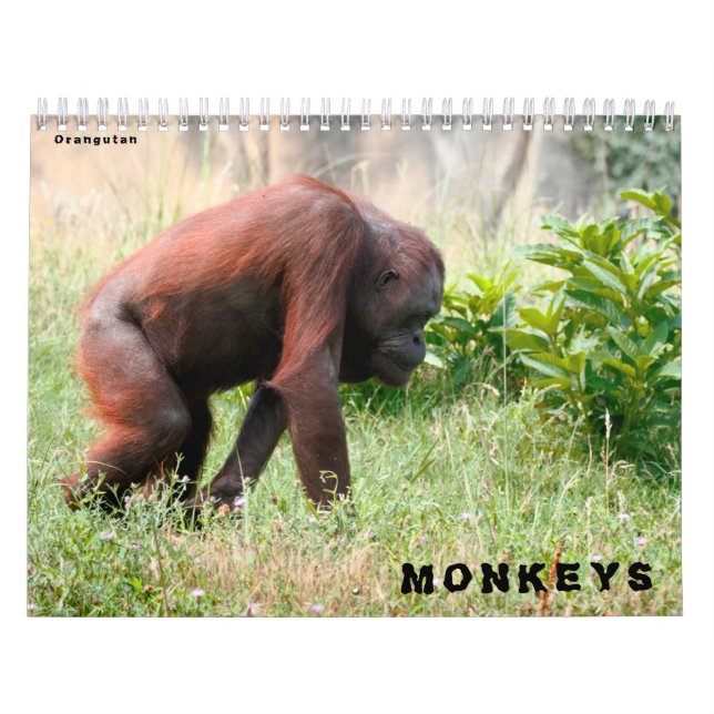 Kalender (Titelbild)