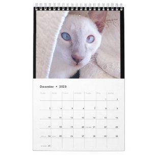 KALENDER