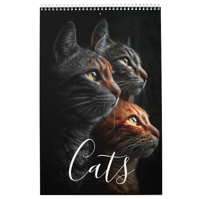 Kalender (Titelbild)