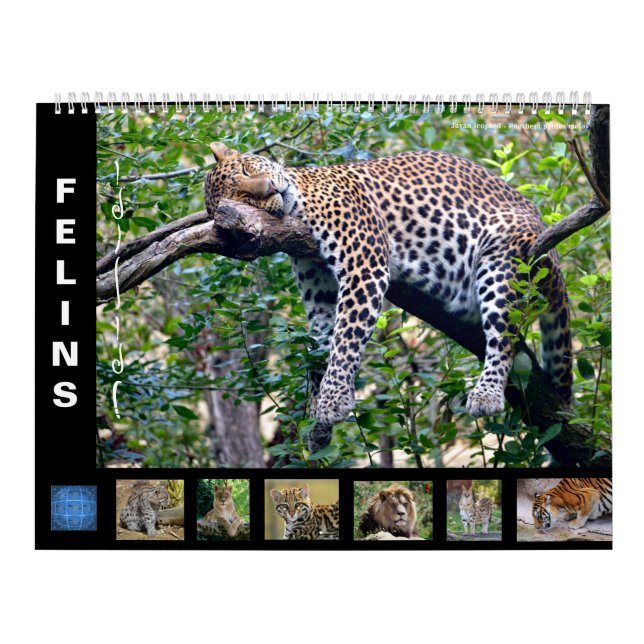 Kalender (Titelbild)