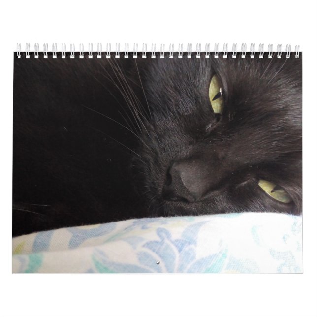 Kalender (Titelbild)