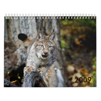 Kalender 2009