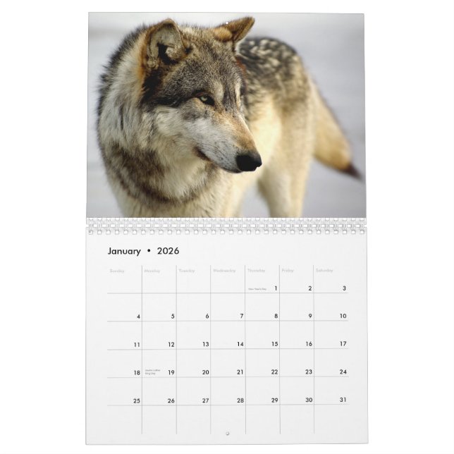 Kalender 2009 (Jan 2026)