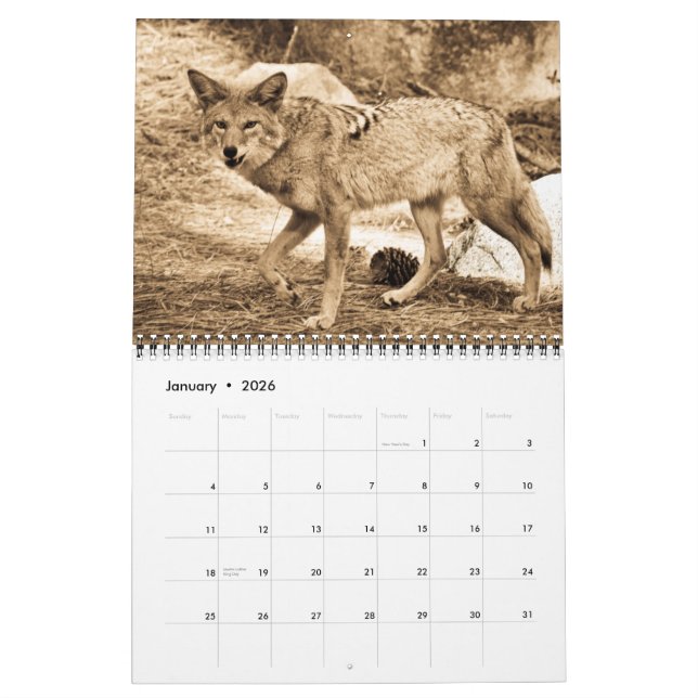 Kalender 2009 (Jan 2026)