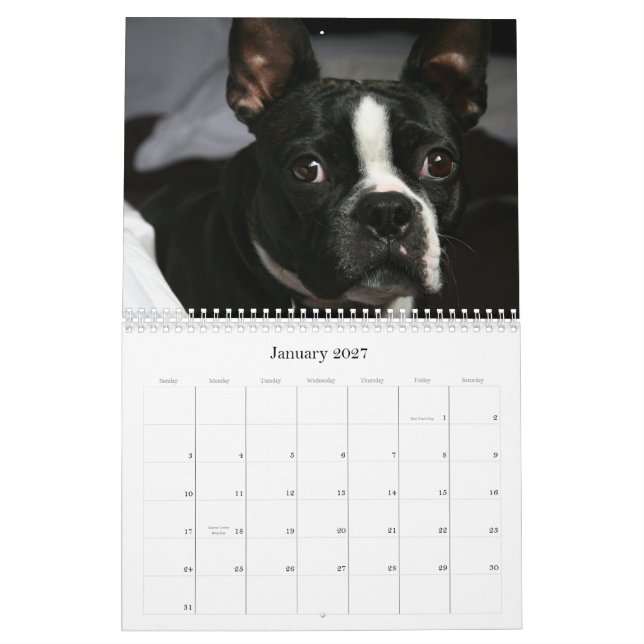Kalender 2009 Bostons Terrier (Jan 2027)