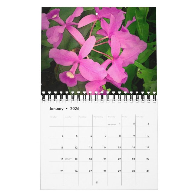 Kalender 2009: Ein Jahr der Orchideen von Hawaii (Jan 2026)