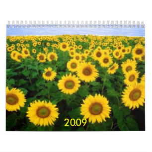 Kalender, 2009 kalender
