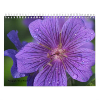 Kalender 2009 photgraphed von Stacey Morris