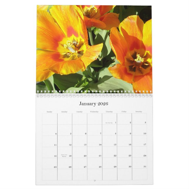 Kalender 2009 photgraphed von Stacey Morris (Jan 2026)