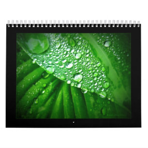 Kalender 2010