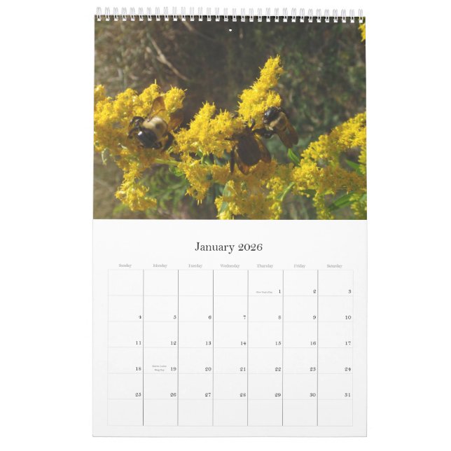 Kalender 2011 (Jan 2026)