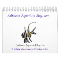 Kalender 2011