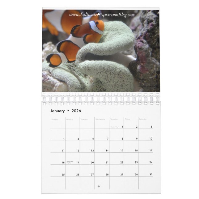 Kalender 2011 (Jan 2026)