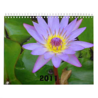 Kalender, 2011 kalender