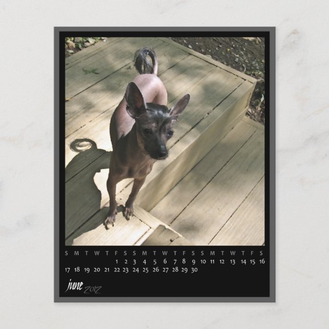 Kalender 2012 (Vorderseite)