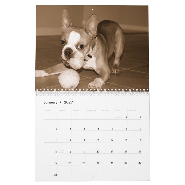 Kalender 2012 Bostons Terrier (Jan 2027)