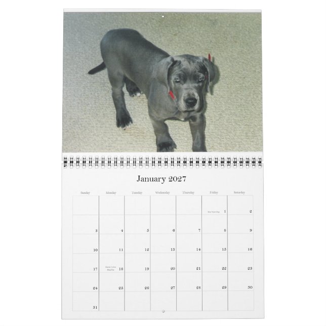 Kalender 2012 van SundayStyle Edition (Jan 2027)