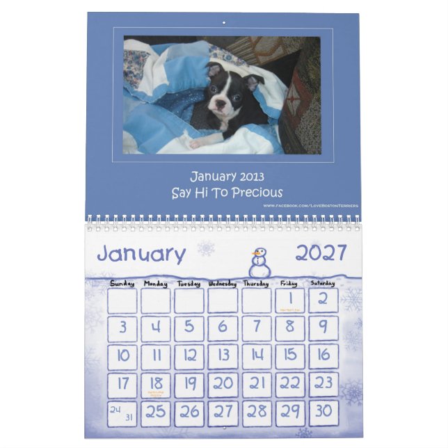 Kalender 2013 Bostons Terrier (Jan 2027)