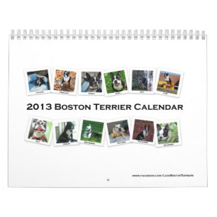 Kalender 2013 Bostons Terrier