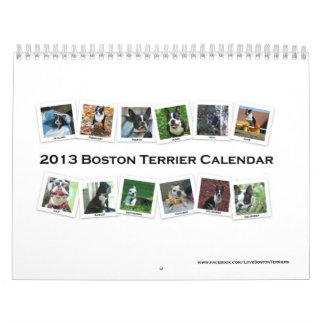 Kalender 2013 Bostons Terrier