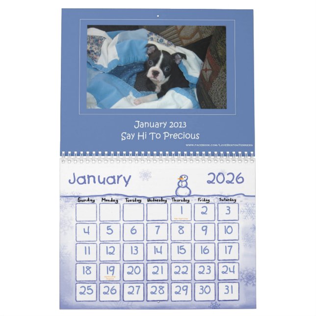 Kalender 2013 Bostons Terrier (Jan 2026)