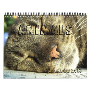 Kalender 2013 - Tiere