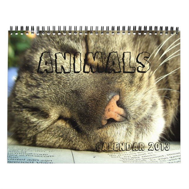 Kalender 2013 - Tiere (Titelbild)
