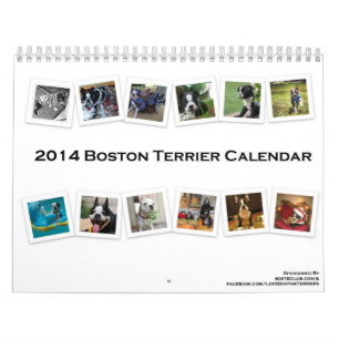 Kalender 2014 Bostons Terrier