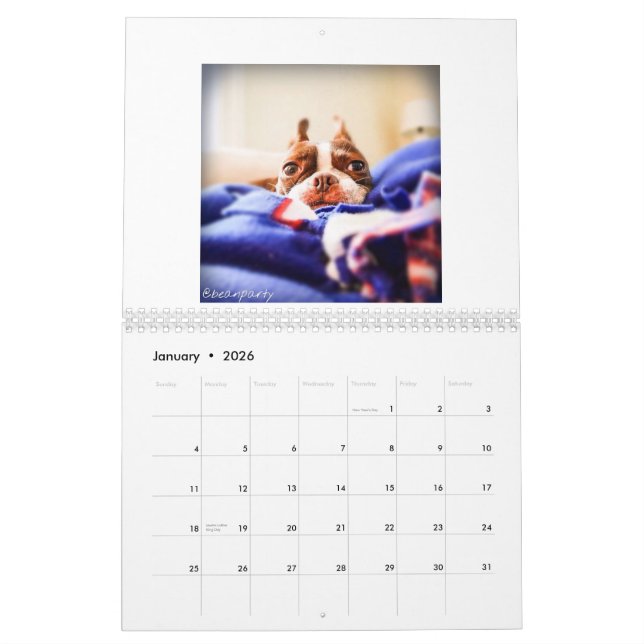 Kalender 2015 Bostons Terrier (Jan 2026)