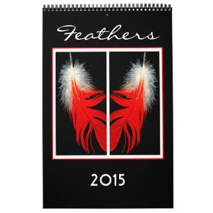 Kalender 2015 der Vogelfedern