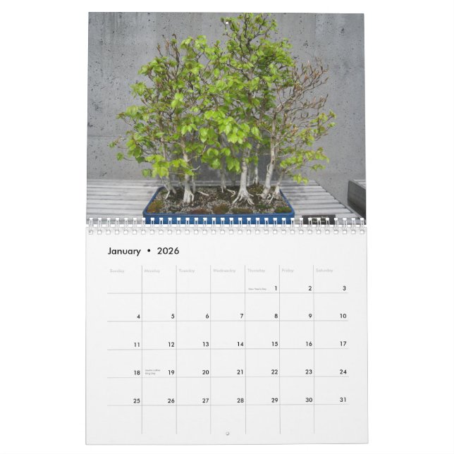 Kalender 2015 mit Bonsai (Jan 2026)