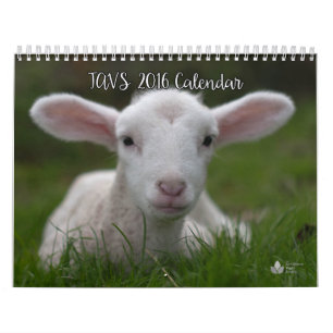 Kalender 2016 der Abolitionist-veganen