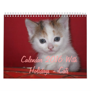 Kalender 2016 mit Ferien - Katzen