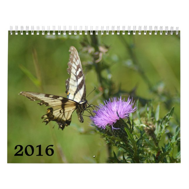 Kalender 2016, Schmetterlinge und Blüte (Titelbild)