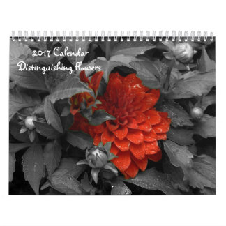 Kalender 2017, der Blumenkalender unterscheidet