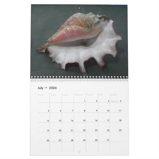 Kalender 2017 der Muscheln (Jul 2026)