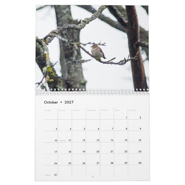 Kalender 2017 durch Barbara-Abgabe (Okt 2027)