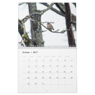 Kalender 2017 durch Barbara-Abgabe