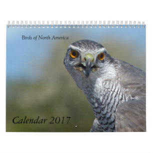 Kalender 2017 - Vögel Nordamerikas