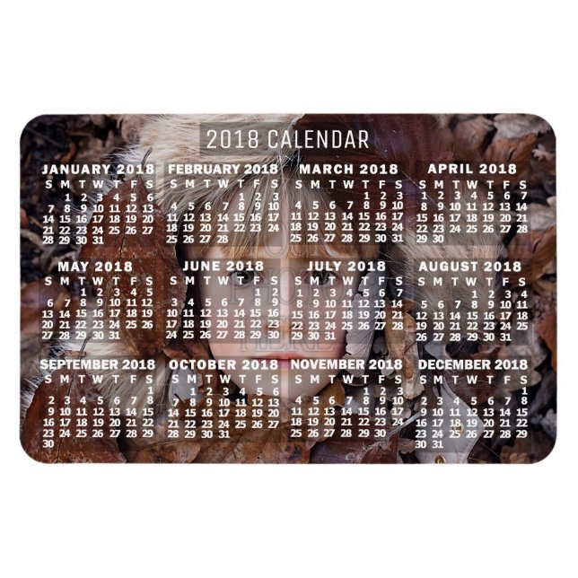 Kalender 2018 (Siehe Beschreibung der neuen Versio Magnet (Horizontal)
