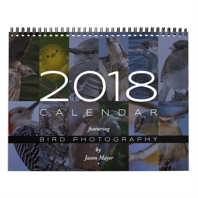 Kalender 2018 von Vogel-Fotografie (Titelbild)