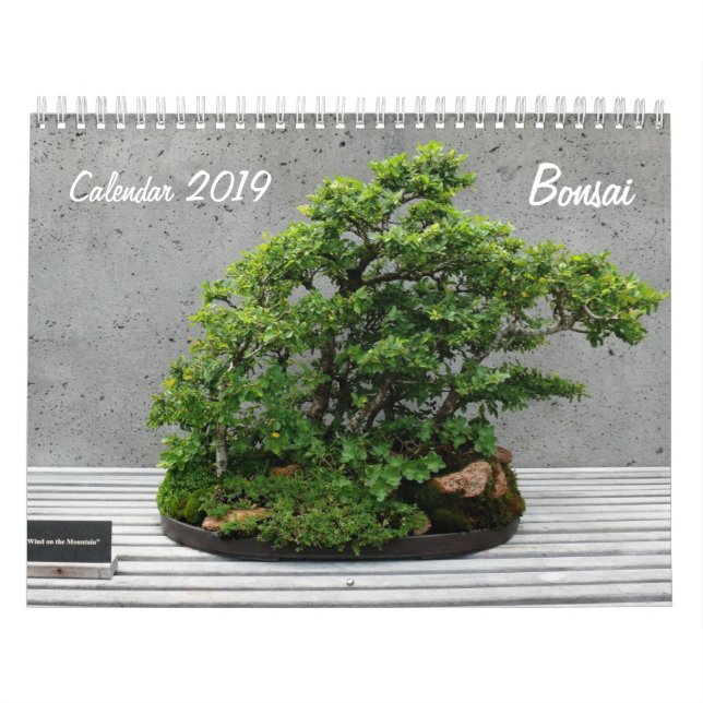 Kalender 2019 mit Bonsai (Titelbild)