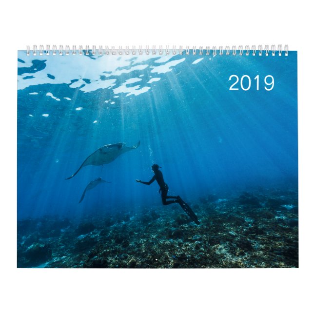 Kalender 2019 - Unter der Oberfläche des Ozeans (Titelbild)