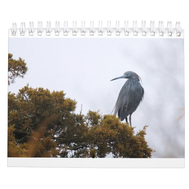 Kalender 2020 (Rückseite)