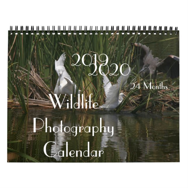 Kalender 2020 der Vogel-Tier-Fotografie-2019 (Titelbild)
