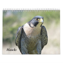 Kalender 2021 12 Monate, Falken