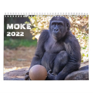 Kalender 2022