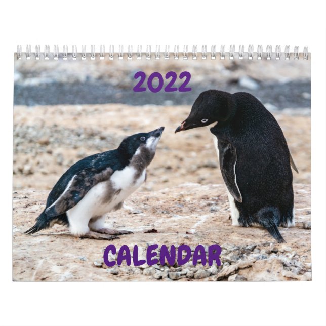Kalender 2022 - Antarktis (Titelbild)